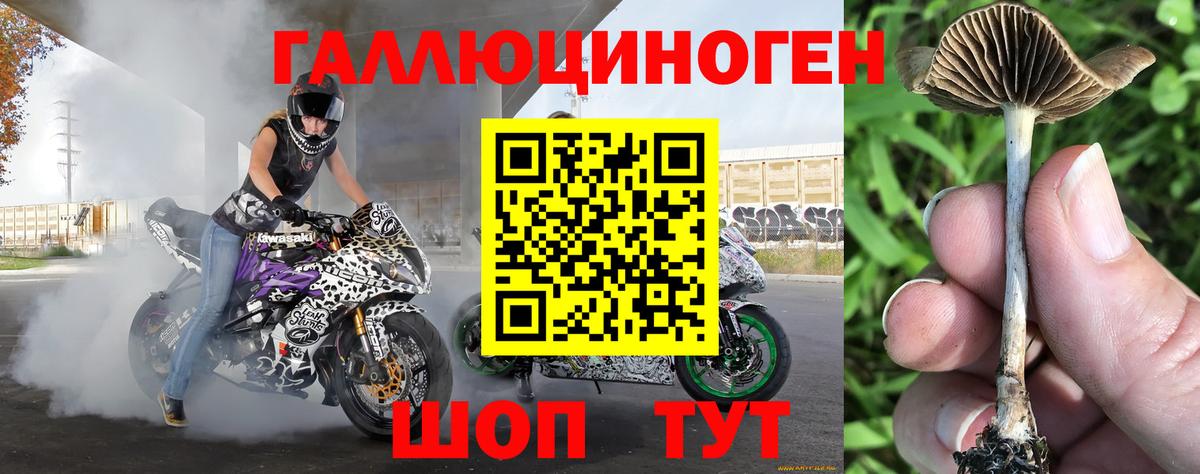Строитель  Галлюциногенные грибы мухоморы  Вход с VPN 